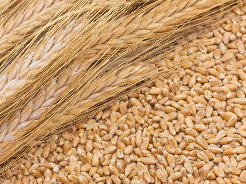 糧食重金屬檢測儀可以檢測糧食制品嗎 糧食重金屬檢測儀可以檢測糧食制品嗎