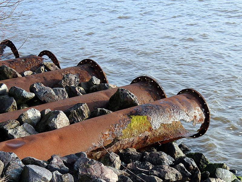 水質生物毒性在線分析儀具備哪些特點 水質生物毒性在線分析儀具備哪些特點