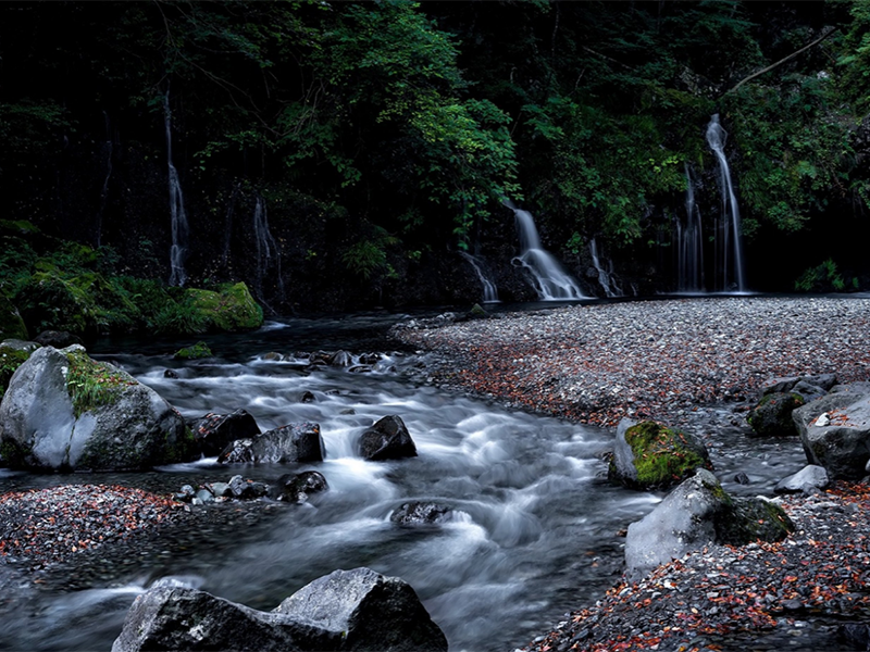 水質(zhì)生物毒性檢測儀作用 水質(zhì)生物毒性檢測儀作用