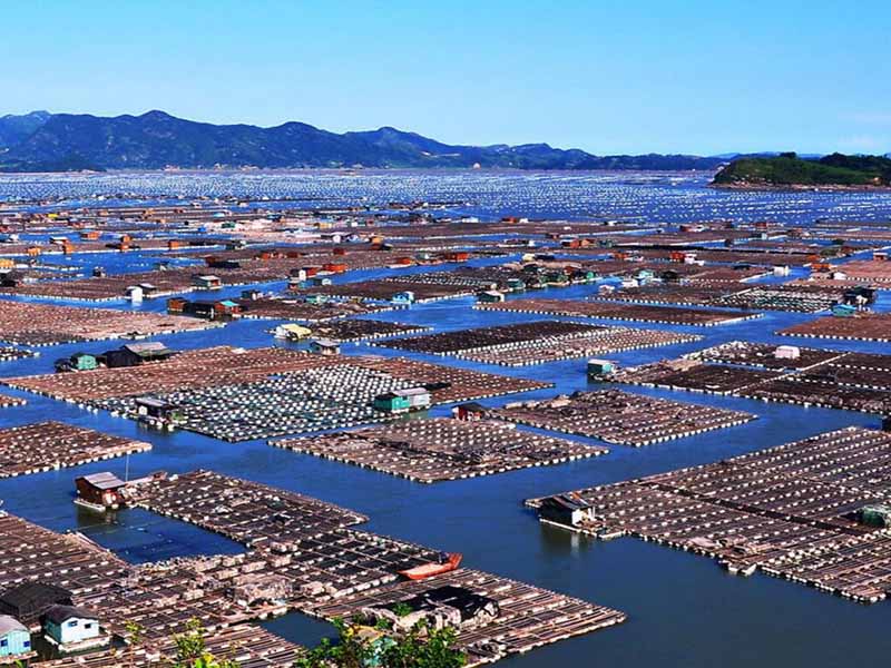 水產養殖二氧化氯使用方法 水產養殖二氧化氯使用方法