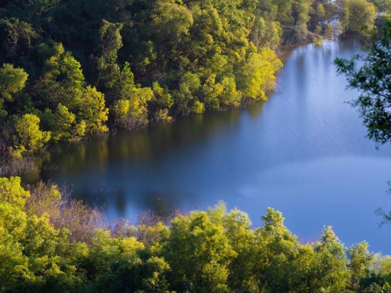 飲用水糞大腸菌群檢測方法哪種好