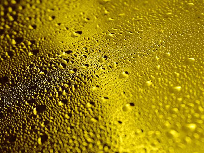 食用油酸價檢測儀功能特點（食用油酸價檢測儀說明書）