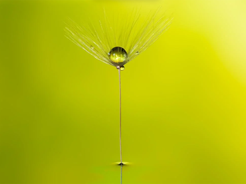 在線氨氮分析儀檢定規程（在線氨氮分析儀安裝、使用及維護）