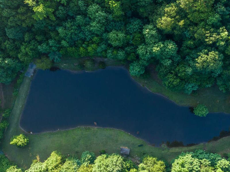 水質檢測氨氮大于總氮是什么原因（氨氮與總氮的關系）