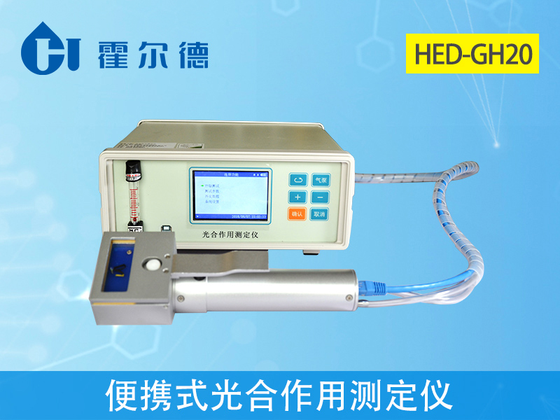 光合作用對植物生長有什么影響 光合作用對植物生長有什么影響